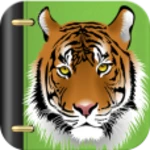 imágenes de tigres android application logo